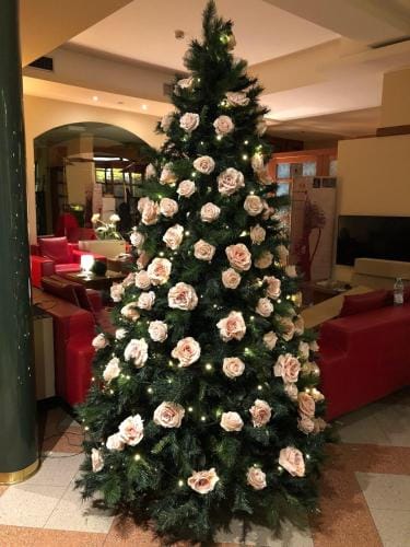 Hotel Valbrenta Hotel in Veneto