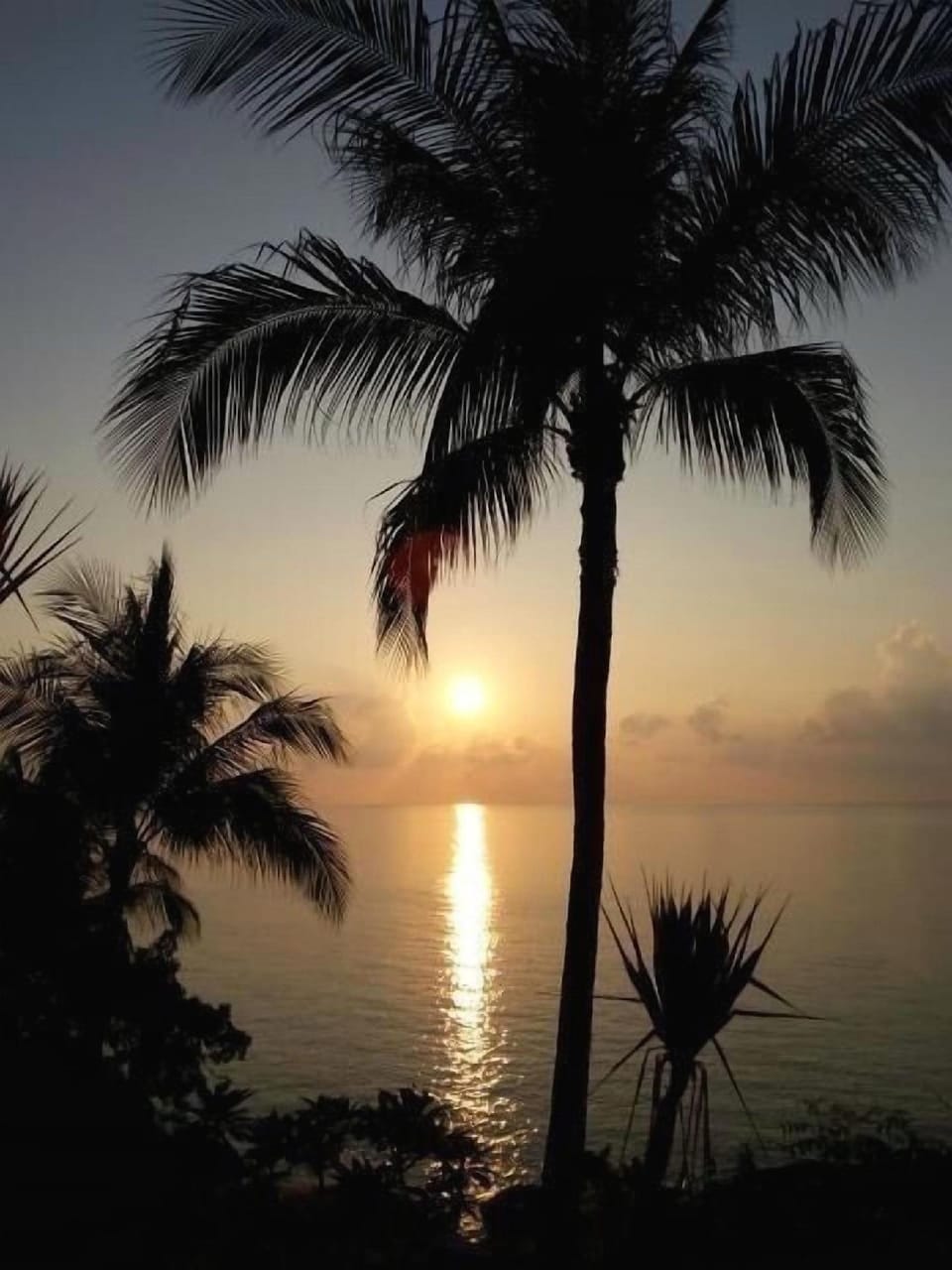 Baan Natcha Hotel in Ko Samui