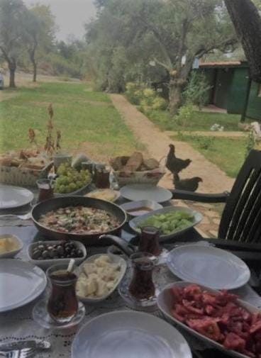 My Bungalov Lodge in Muğla Province