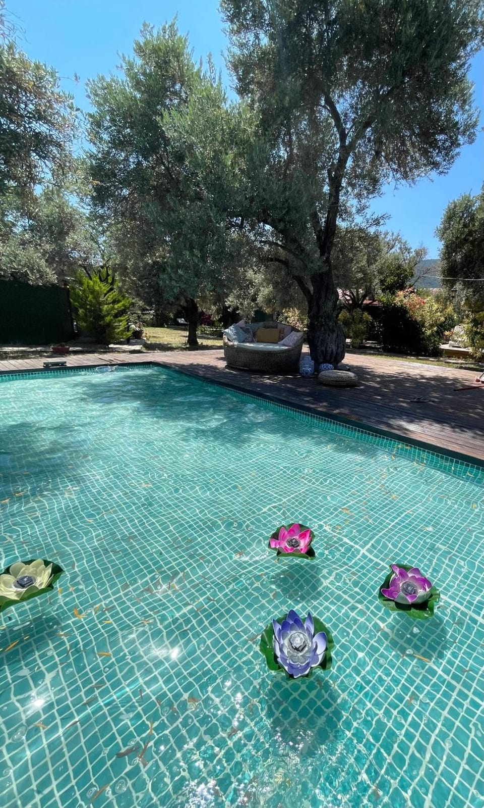 My Bungalov Lodge in Muğla Province