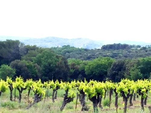 le clos soleilhan Hotel in Provence-Alpes-Côte d'Azur