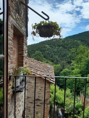 Locanda del Capo Hotel in Capannori