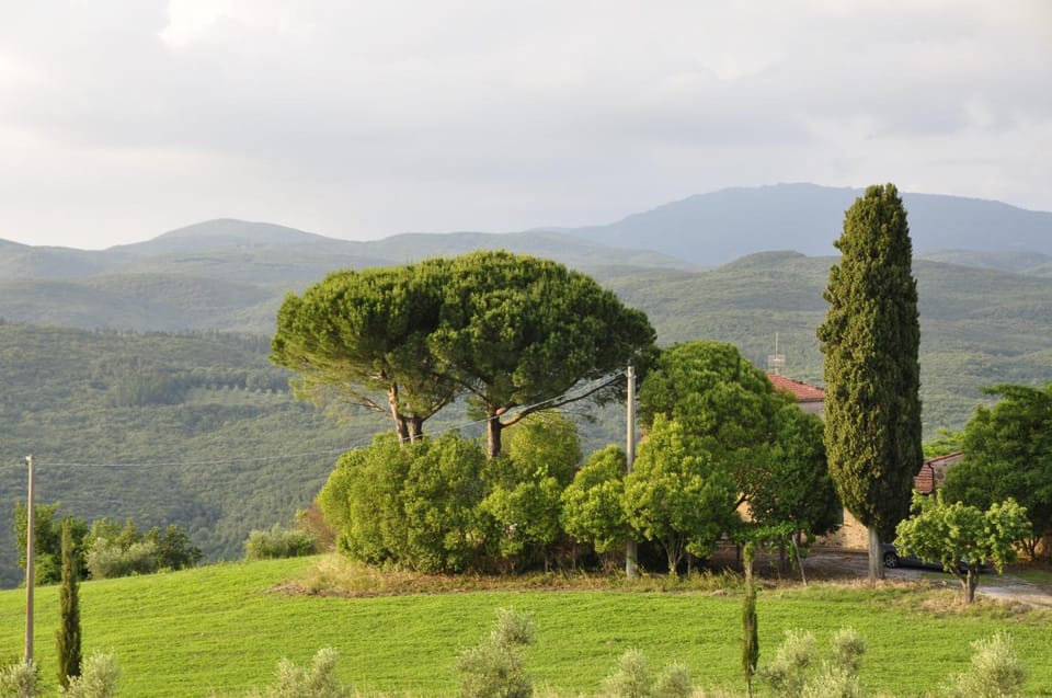 Tuscan Rustic Apartment Hotel in Tuscany