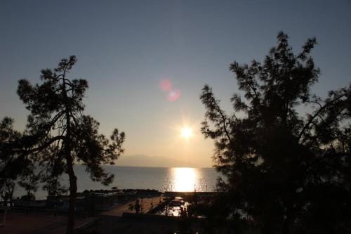 Studio Tsirigotis Sea view Inn in Euboea