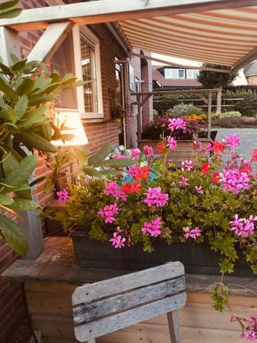 B&B Zen Hotel in South Holland (province)