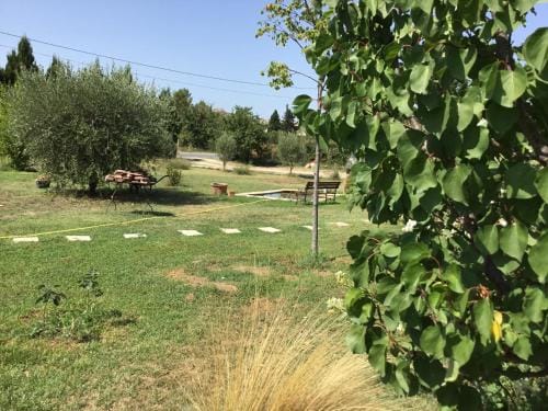 Le jardin du Castillon Hotel in Arles