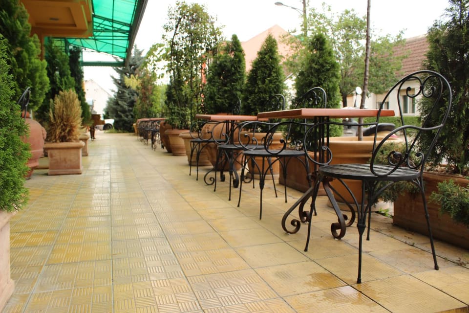 Garson Lux Hotel Hotel in Novi Sad