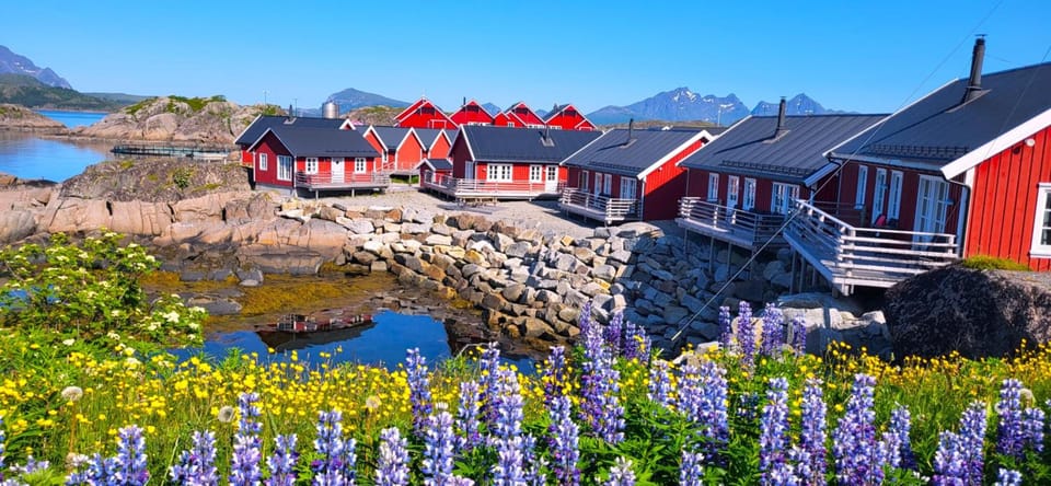Statles Rorbu- og Konferansesenter AS Hotel in Lofoten
