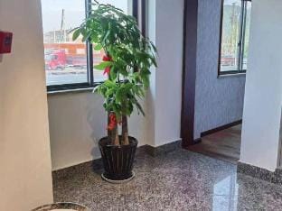 Shunquan Jinguan Business Hotel Hotel in Zhejiang