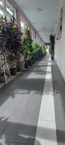 Hotel Belp Bern Airport Free Parking Motel in Canton of Bern (Region)
