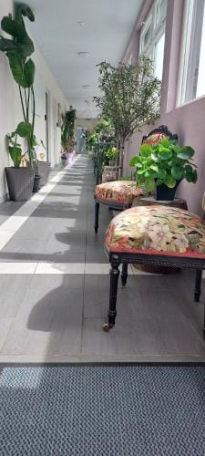 Hotel Belp Bern Airport Free Parking Motel in Canton of Bern (Region)