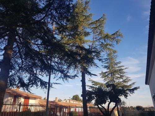 B&B La pineta Hotel in Basilicata