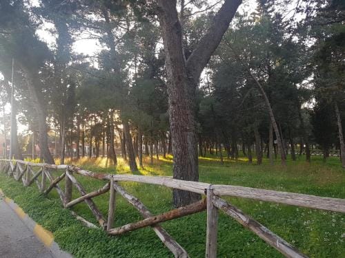 B&B La pineta Hotel in Basilicata