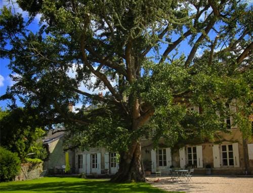 Domaine Saint-Hilaire Hotel in Centre-Val de Loire