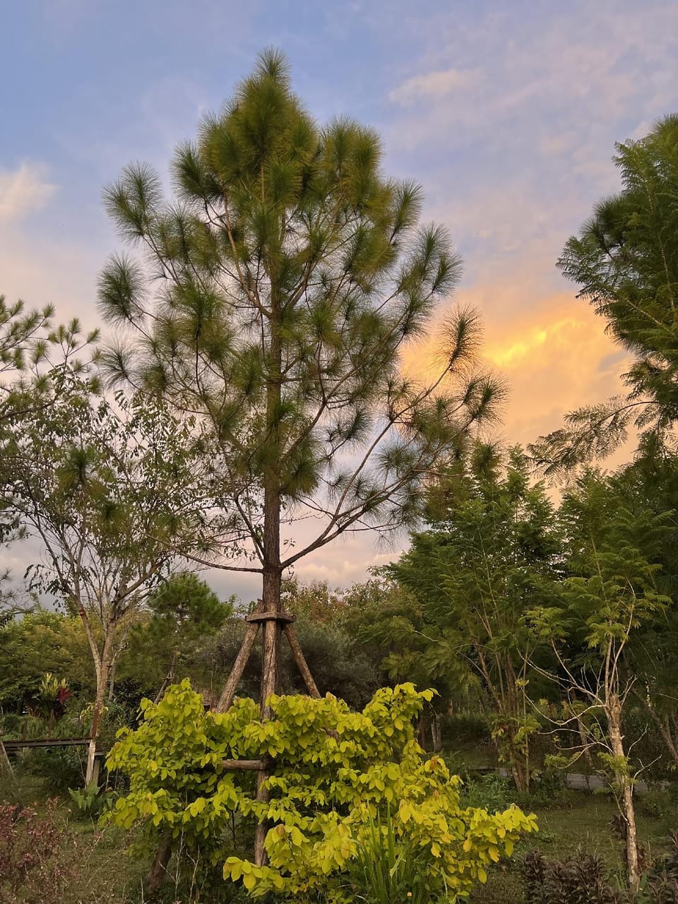 Surrounding environment