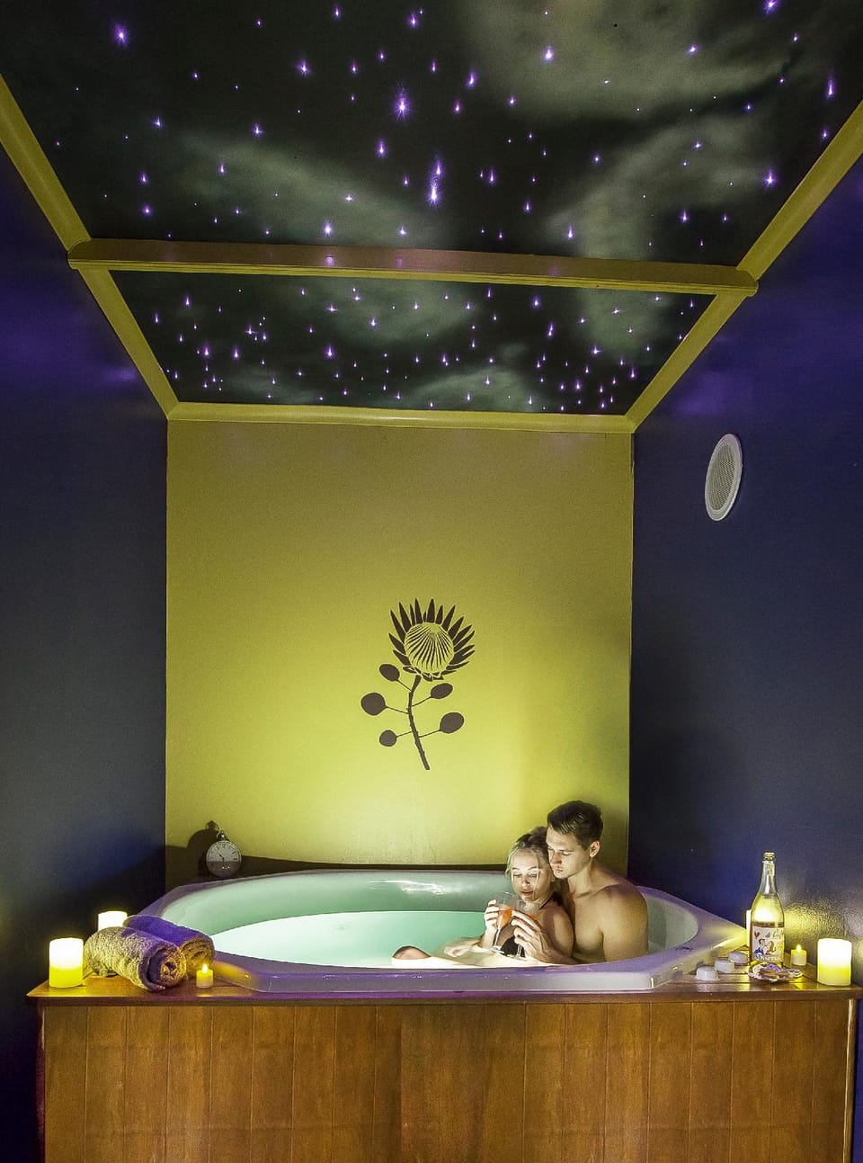 Vindoux Tree House Guest Farm and Day Spa Apartment hotel in Western Cape