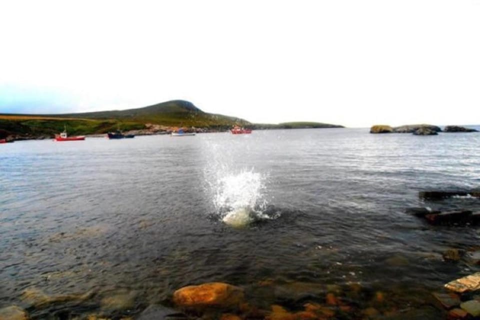The Yellow Rose B&B Hotel in County Mayo