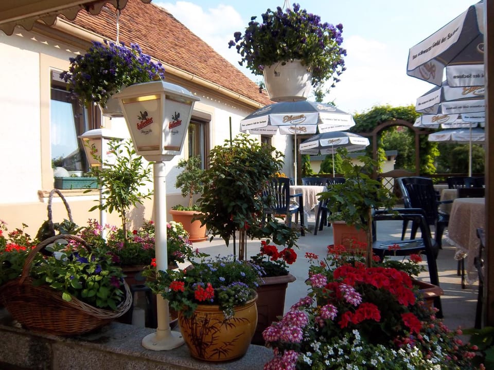Hotel & Pension Aßmann Hotel in Saxony