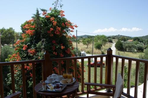 Hotel Ismini Hotel in Halkidiki