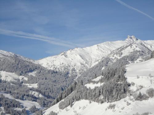 Jugendhotel Gruber Inn in Salzburgerland