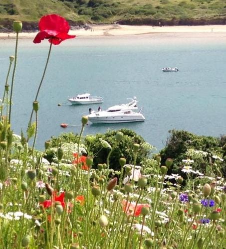 Cyntwell Guest Accommodation Hotel in Padstow