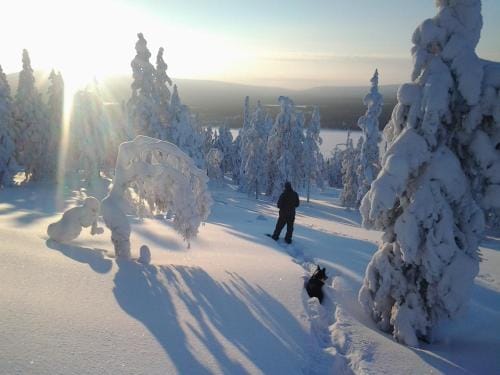 Lucky Ranch cabin 4 Hotel in Rovaniemi