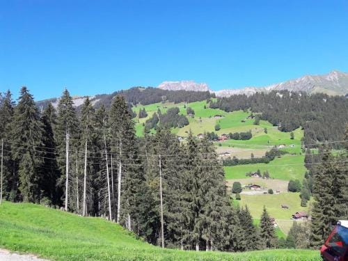Ferien in der Bergwelt von Adelboden Hotel in Adelboden