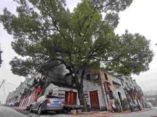 Zhaji Xiangzhashu Inn Hotel in Zhejiang