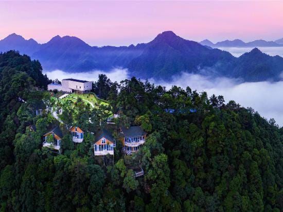Yinxin'gu Treehouse Hotel Hotel in Zhejiang