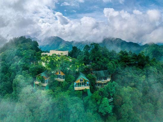 Yinxin'gu Treehouse Hotel Hotel in Zhejiang