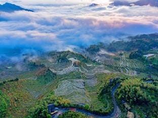 Gubao Farmhouse Hotel in Zhejiang