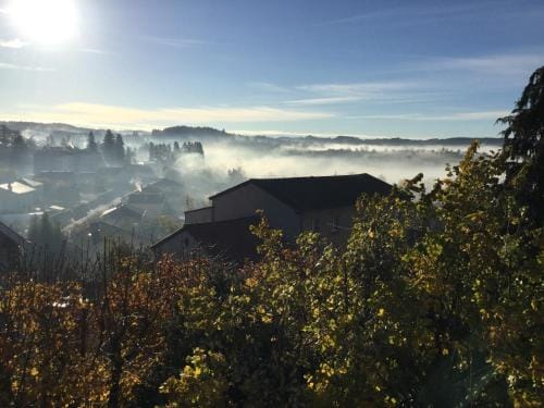 gite Les Marronniers Hotel in Auvergne-Rhône-Alpes