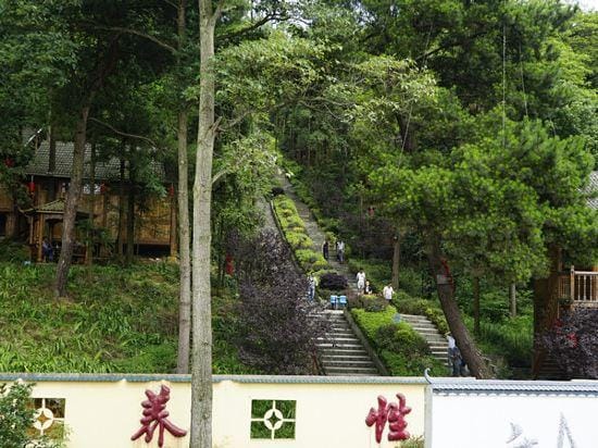 Longrun Forest Hotel Hotel in China