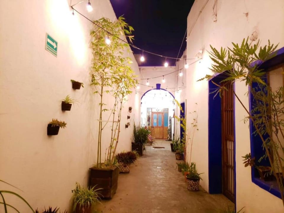 Ikali Hostel Hostel in Monterrey