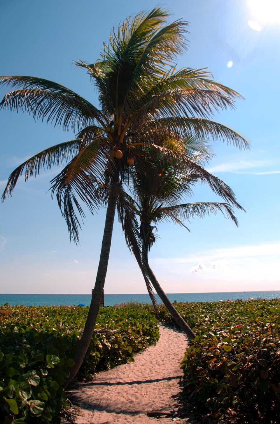 The Dover House Resort Resort in Delray Beach