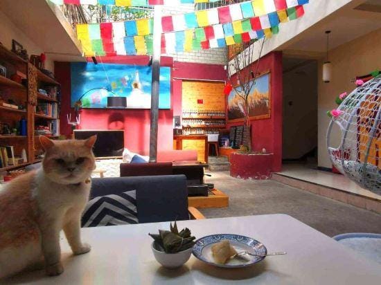The moonbirds hostel Hotel in China