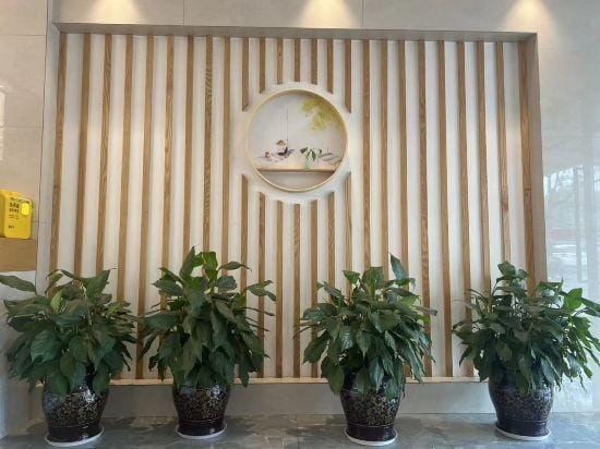 zhuzijianHotel Hotel in Hubei