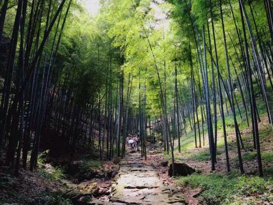 Happiness Farm Hotel in Zhejiang