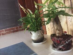 Lishui Ancient Road Station Hotel in Zhejiang