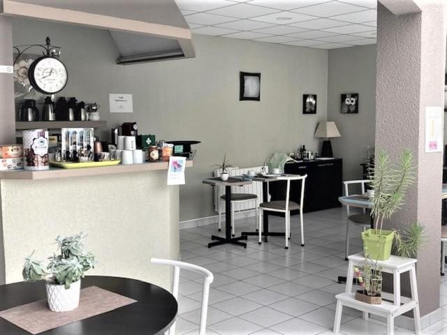 Castel Fleuri Hotel in Tours