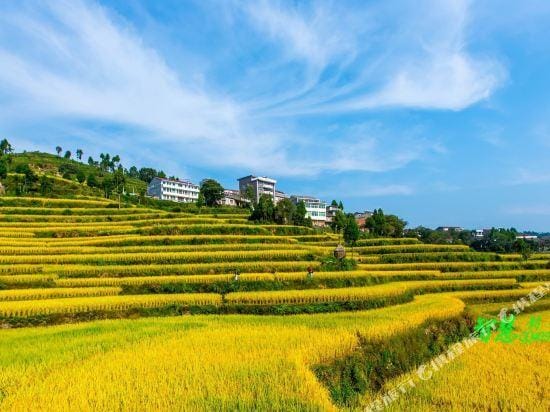 Tianzhongtian Sheying Motel Hotel in Zhejiang