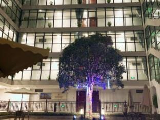 Ruidi Holiday Hotel Hotel in Zhejiang