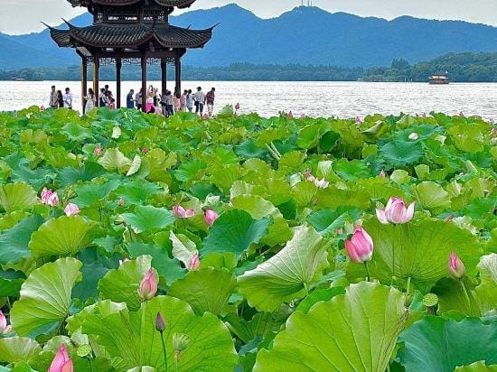 Hangzhou Baifu Hotel (Hangzhou East Railway Station) Hotel in Hangzhou