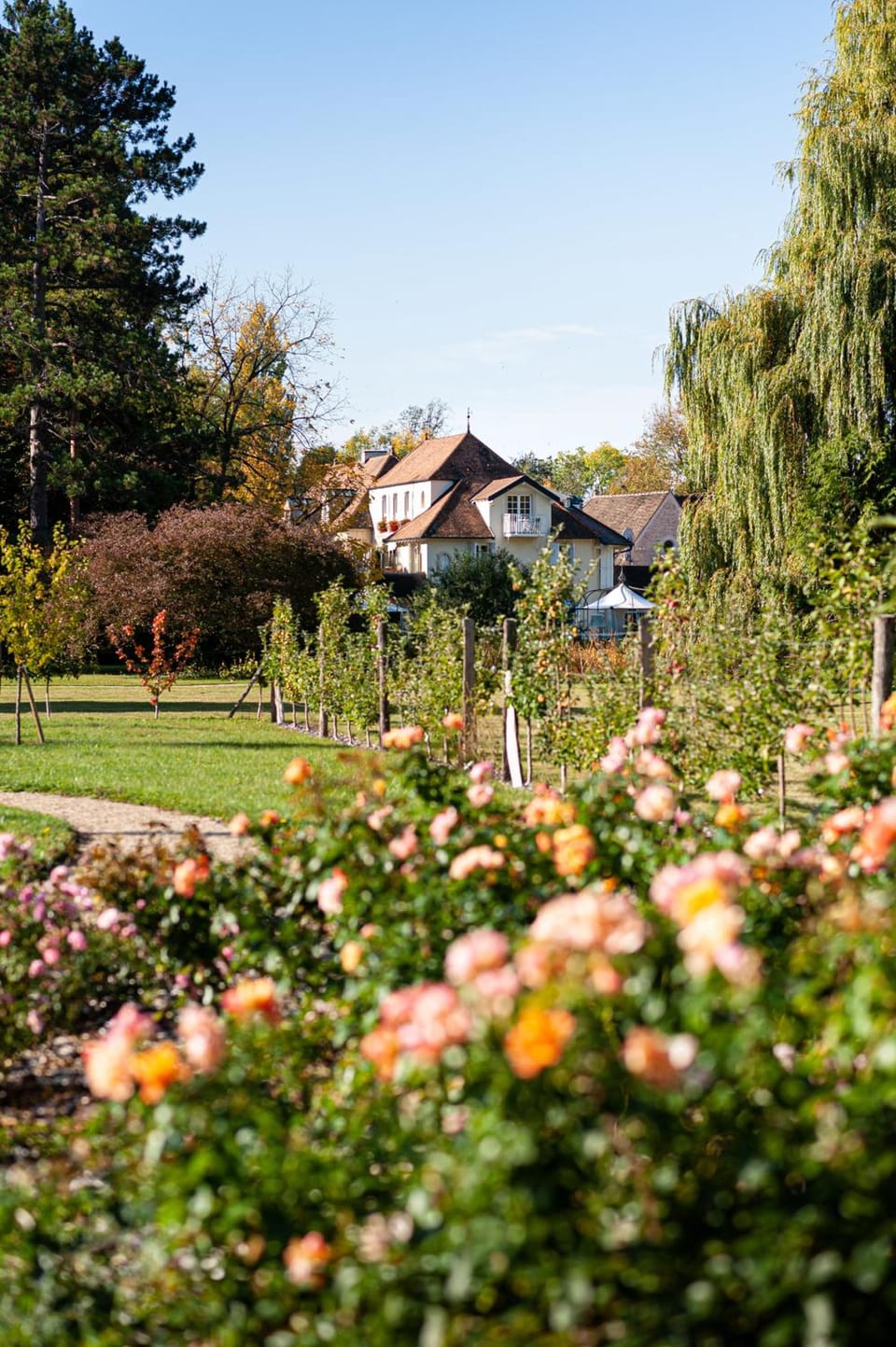 Hostellerie De Levernois Hotel in Bourgogne-Franche-Comté