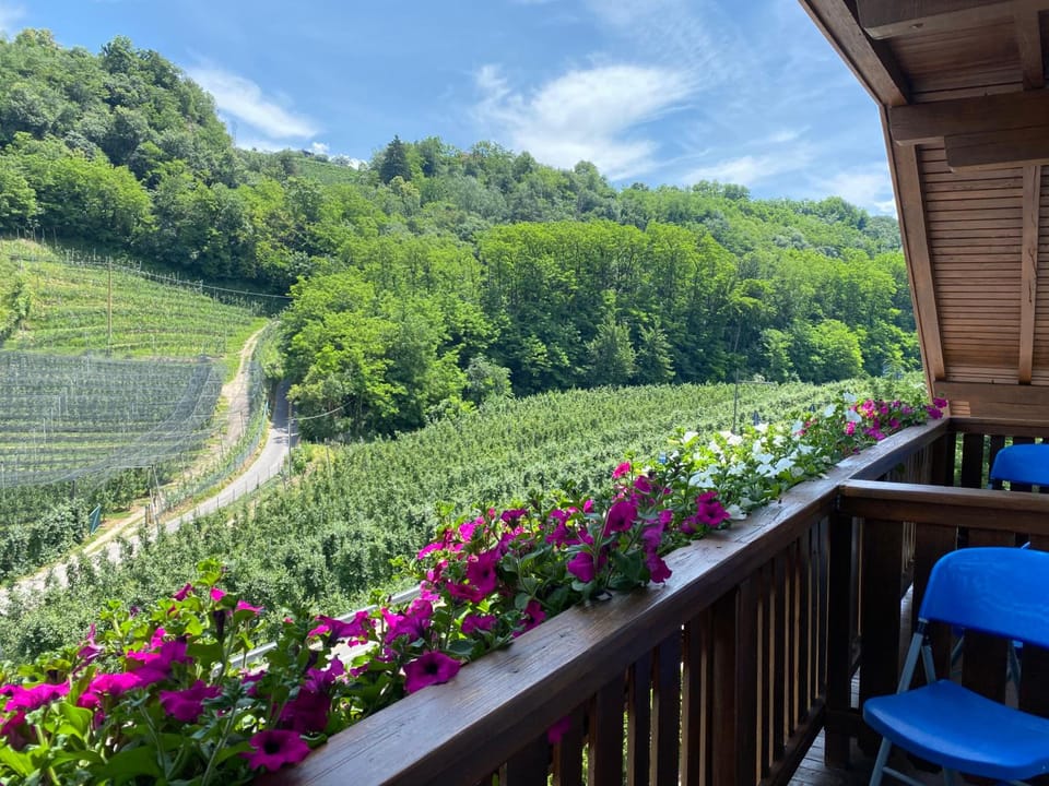 Garni San Paolo Hotel in Trentino-South Tyrol