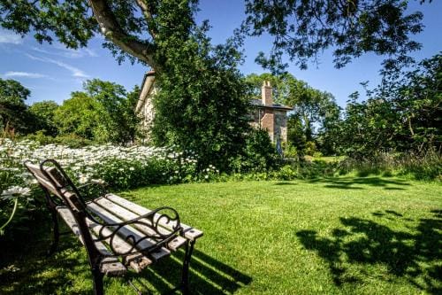 Cosy Wolf Bed & Breakfast Hotel in Freshwater