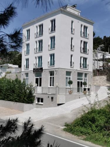 Hotel MonteNino Hotel in Montenegro