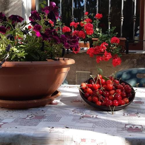 B&B MAMMA ARI Hotel in Fermo