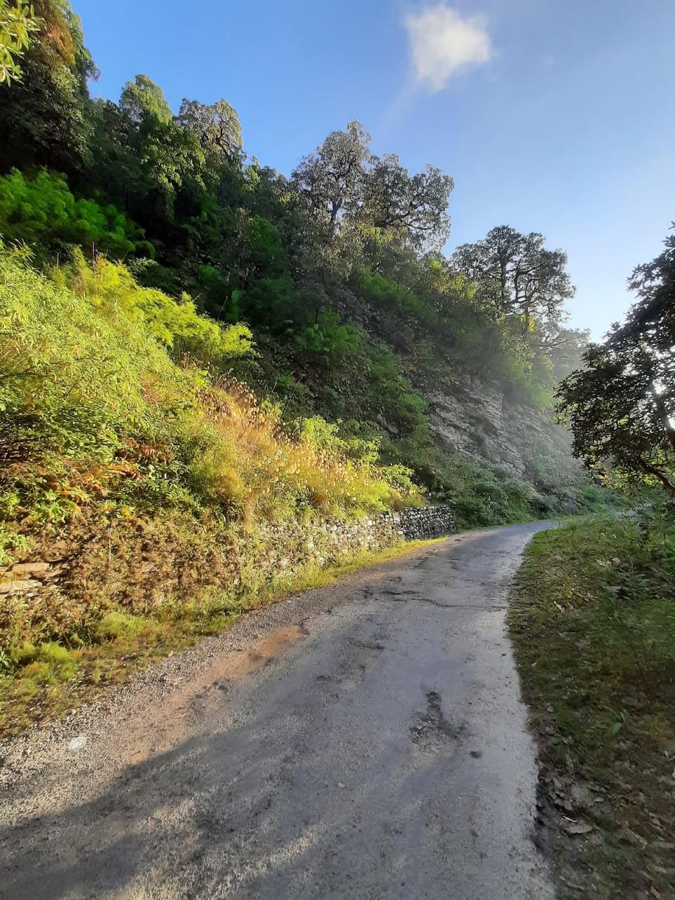Janardan Resort Pangot Resort in Uttarakhand