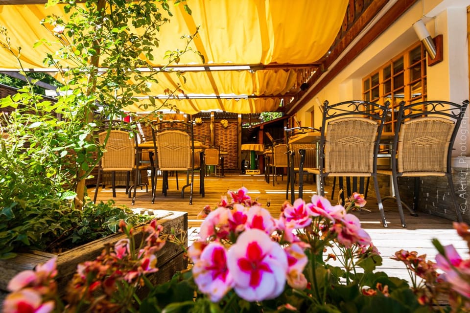 Hotel Restaurant Les Lilas Hotel in Canton of Vaud